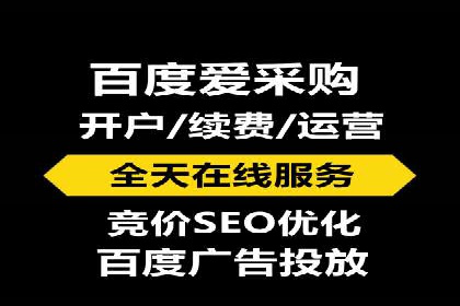 成功SEM推广代运营案例展示